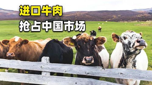 国产牛牛视频
